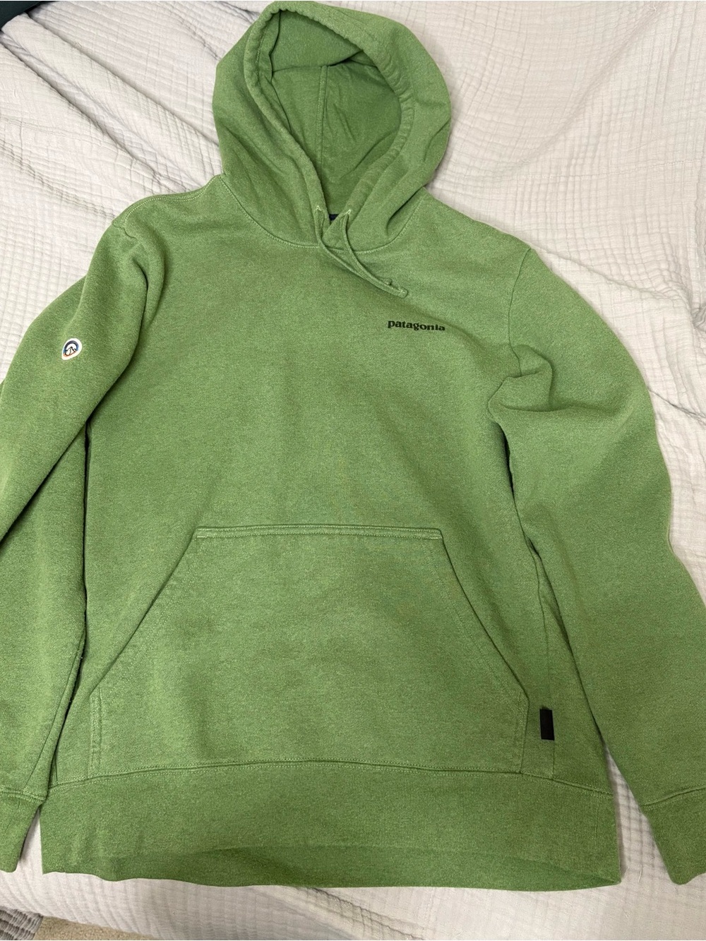 Patagonia Men's Green Hoodie Sweatshirt unisex men’s Medium women’s Large